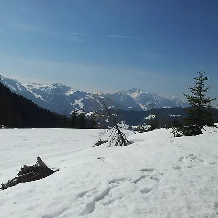 Διαμέρισμα Hubertus *