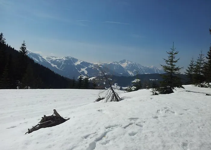 Διαμέρισμα Hubertus *